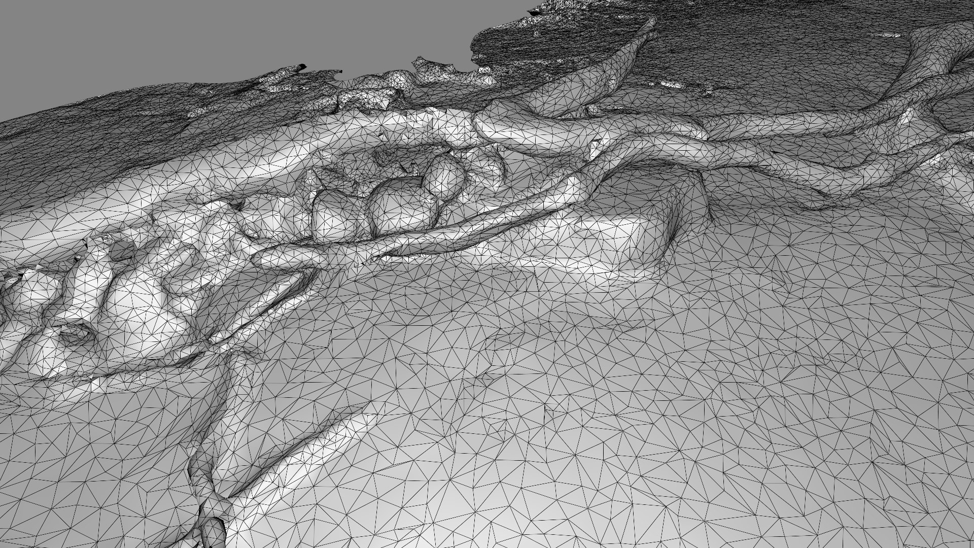 Beach trees and rocks branches on sand model https://p.turbosquid.com/ts-thumb/T9/hYg2JZ/OZ/beachtree_wire/jpg/1667775314/1920x1080/fit_q87/c95368e6abed139f9e89683f6556de55d00b8c1a/beachtree_wire.jpg