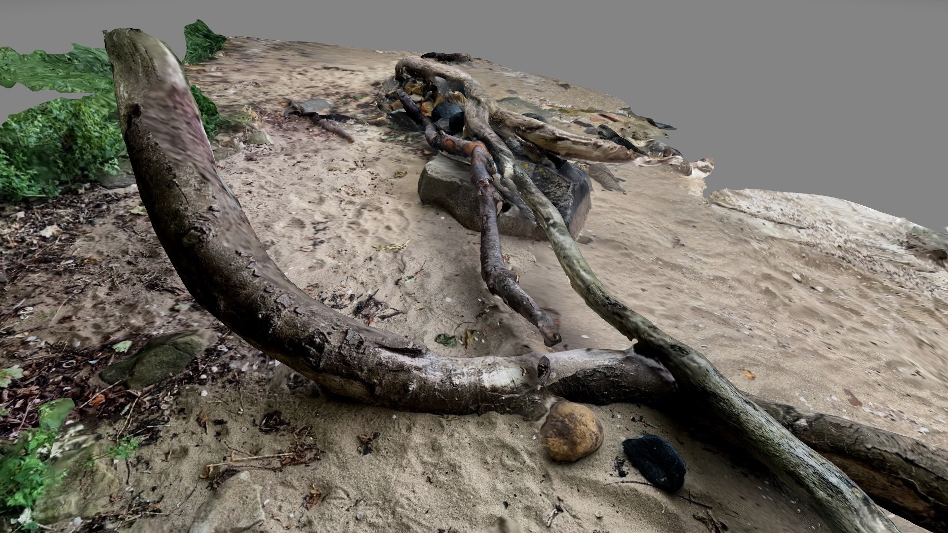 Beach trees and rocks branches on sand model https://p.turbosquid.com/ts-thumb/T9/hYg2JZ/sz/beachtree5/jpg/1667775315/1920x1080/fit_q87/d9fb3428a12f4f12a6d12feee016a48d41429fa2/beachtree5.jpg