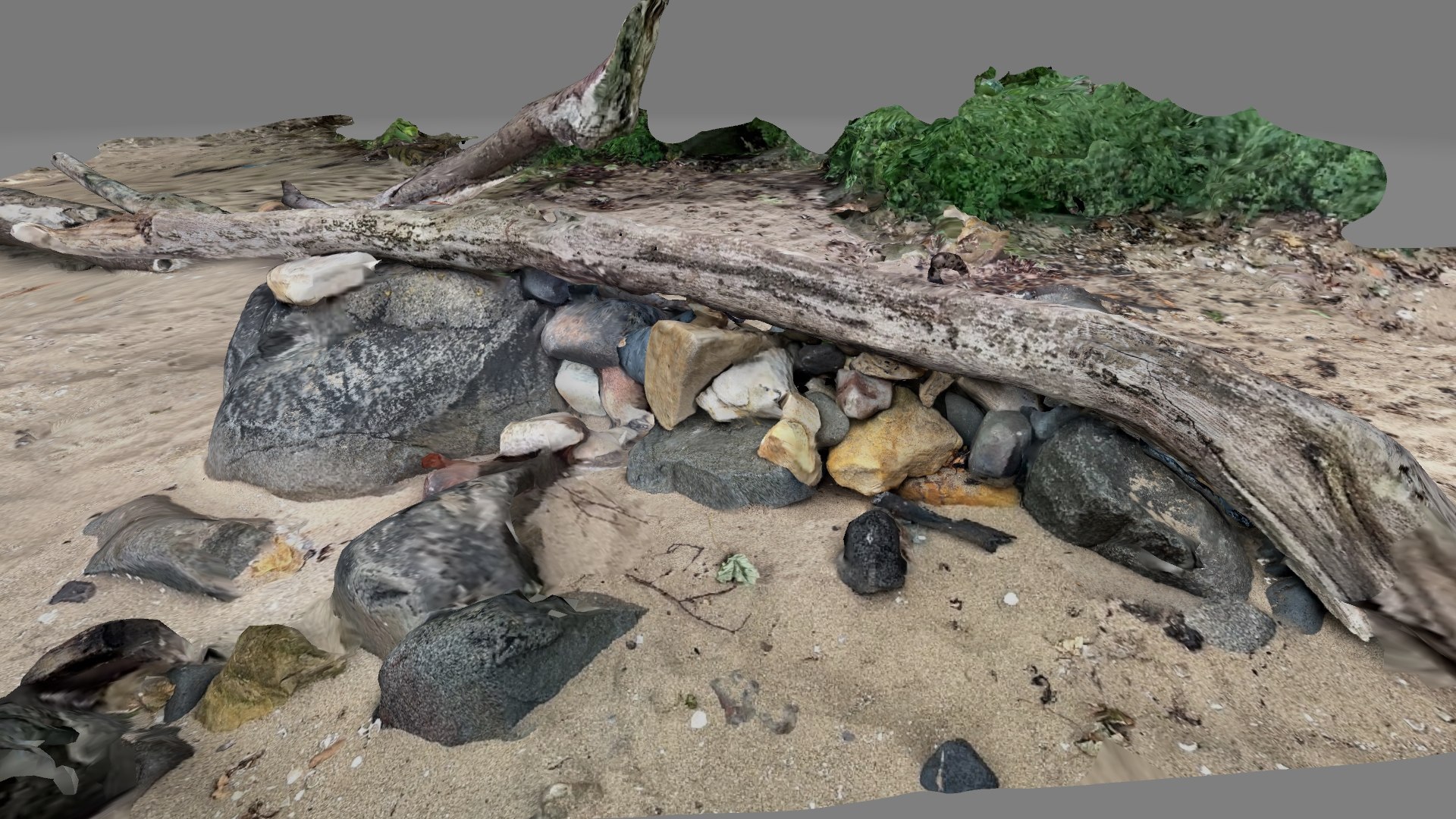 Beach trees and rocks branches on sand model https://p.turbosquid.com/ts-thumb/T9/hYg2JZ/tV/beachtree2/jpg/1667775314/1920x1080/fit_q87/8d7dee6bd53e330618ab05a6d6234716e7346ca1/beachtree2.jpg