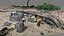 Alberi da spiaggia e rami di rocce sulla sabbia