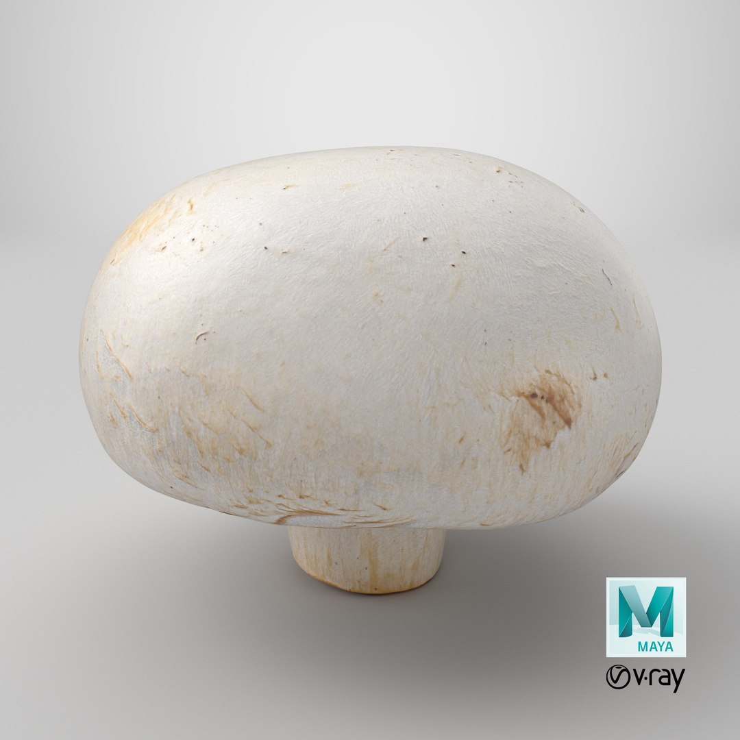 3D Champignon Mushroom 02 model https://p.turbosquid.com/ts-thumb/T9/jpvWdP/df/stemcell_maya_vray_render/png/1719503658/1920x1080/fit_q87/29ecc3a0c5da954990ddbb2ff97f275974fc57a5/stemcell_maya_vray_render.jpg