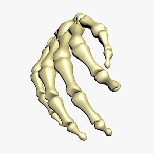 3D Realistic Rigged Skeleton Hand