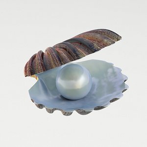 max shell