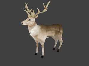 deer 3d model