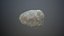 Stone 5