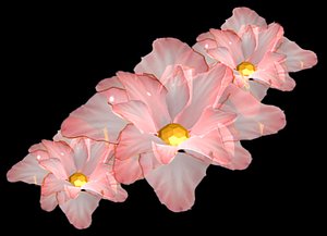 flower 3d max