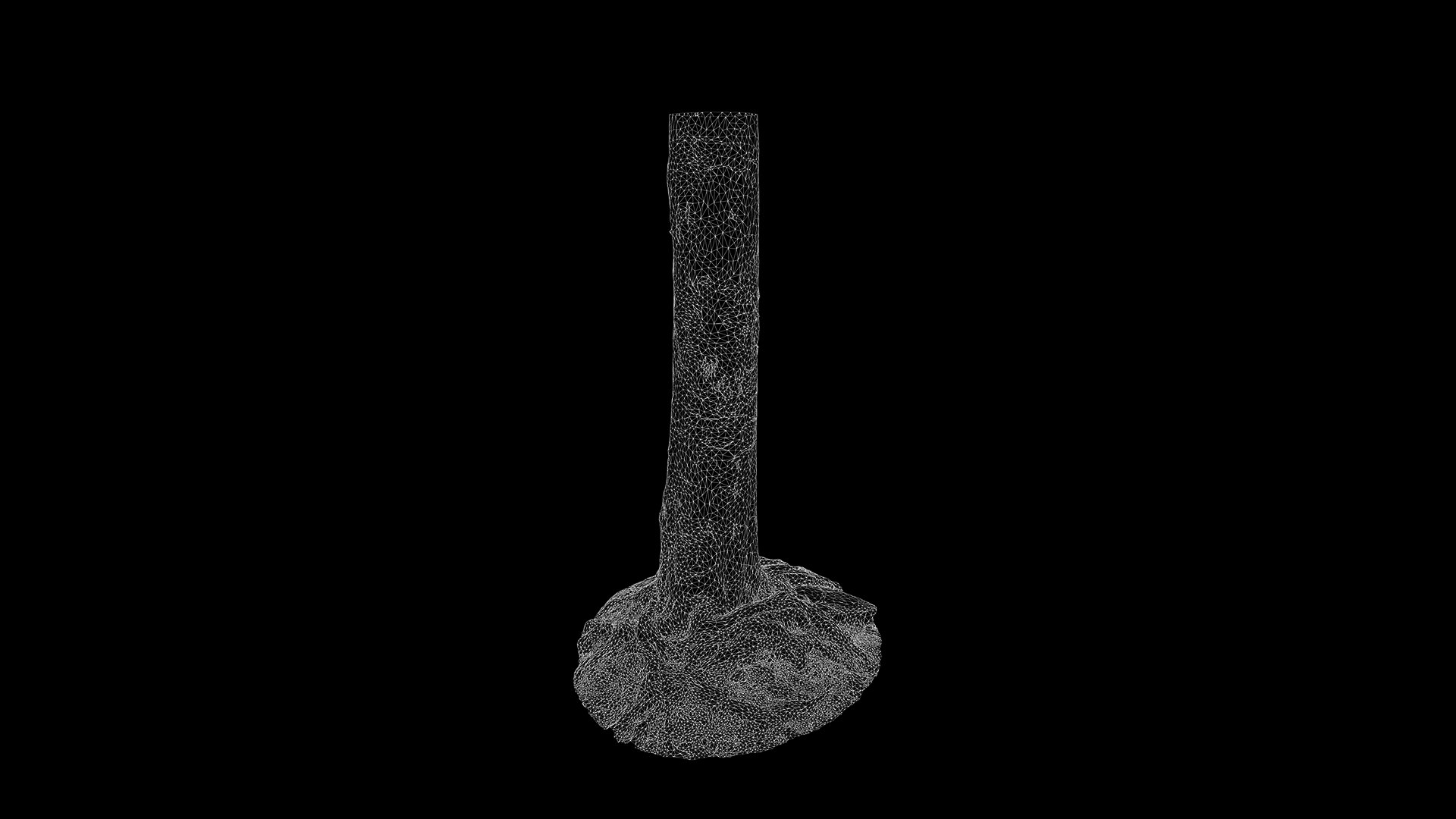 3D Anydrafts Cinnamomum burmannii Trunk 13 model https://p.turbosquid.com/ts-thumb/TA/1edWBm/JQ/preview_2/png/1733730590/1920x1080/fit_q87/582d056e82fc1d77827cbccae44122a0c3a1356f/preview_2.jpg