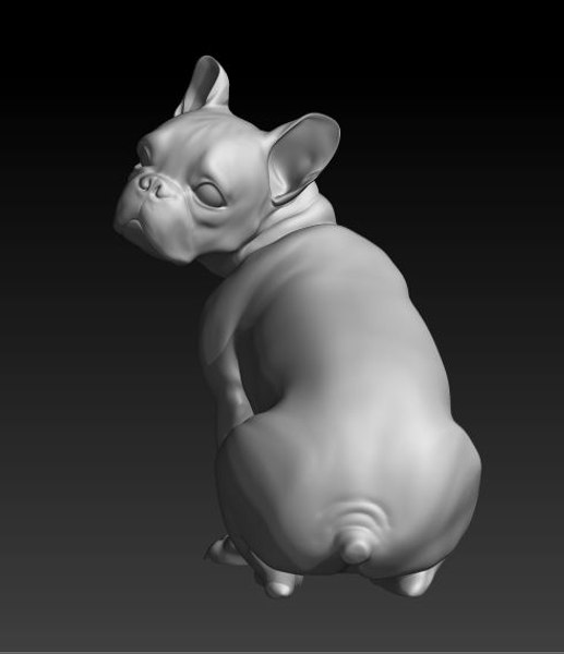 sitting dog french bulldog 3d model