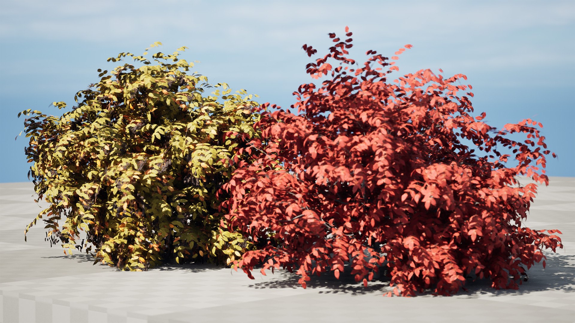 Realistic Summer and Fall Shrubbery Bush 3D model https://p.turbosquid.com/ts-thumb/TA/4oSvCW/7V/highresscreenshot00006/jpg/1697674654/1920x1080/fit_q87/2b0632177b5dfa9037e74b6540e39d69c5a17009/highresscreenshot00006.jpg