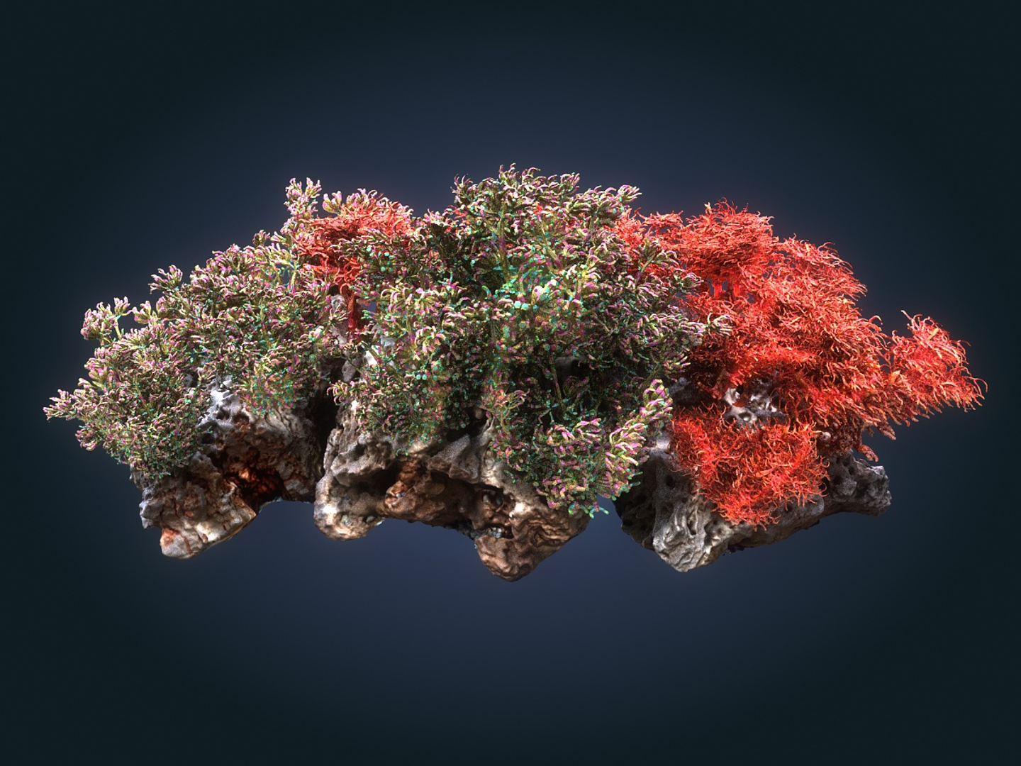 Coral Reef Ecosystem Pack 3D Model - TurboSquid 1368596