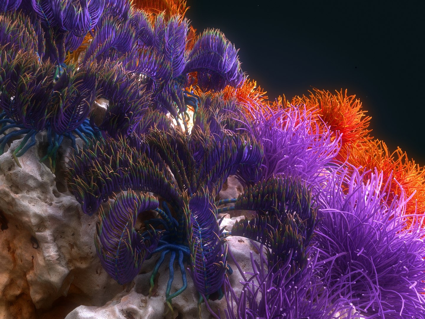 Coral reef ecosystem pack 3D model - TurboSquid 1368596