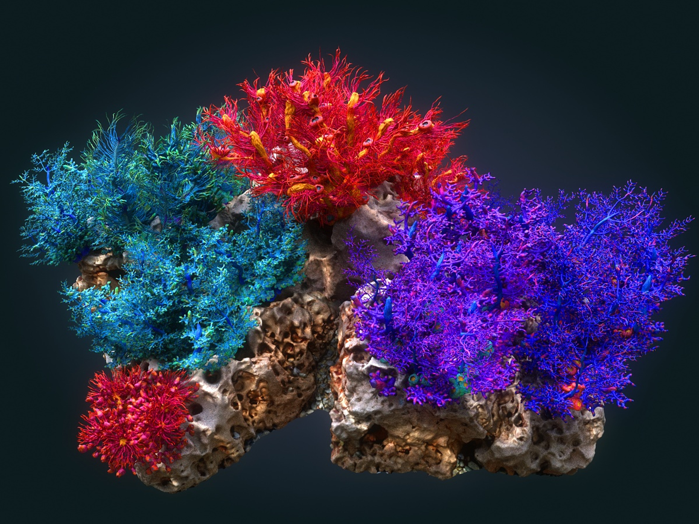 Coral Reef Ecosystem Pack 3D Model - TurboSquid 1368596