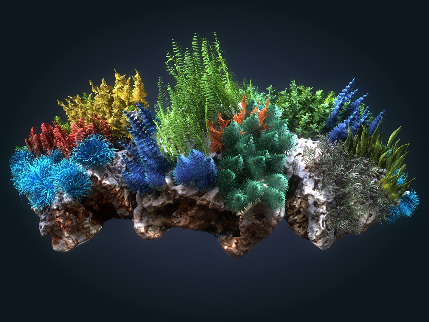 Coral Reef Ecosystem Pack 3D Model - TurboSquid 1368596
