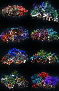 Coral reef ecosystem Animated Pack 8