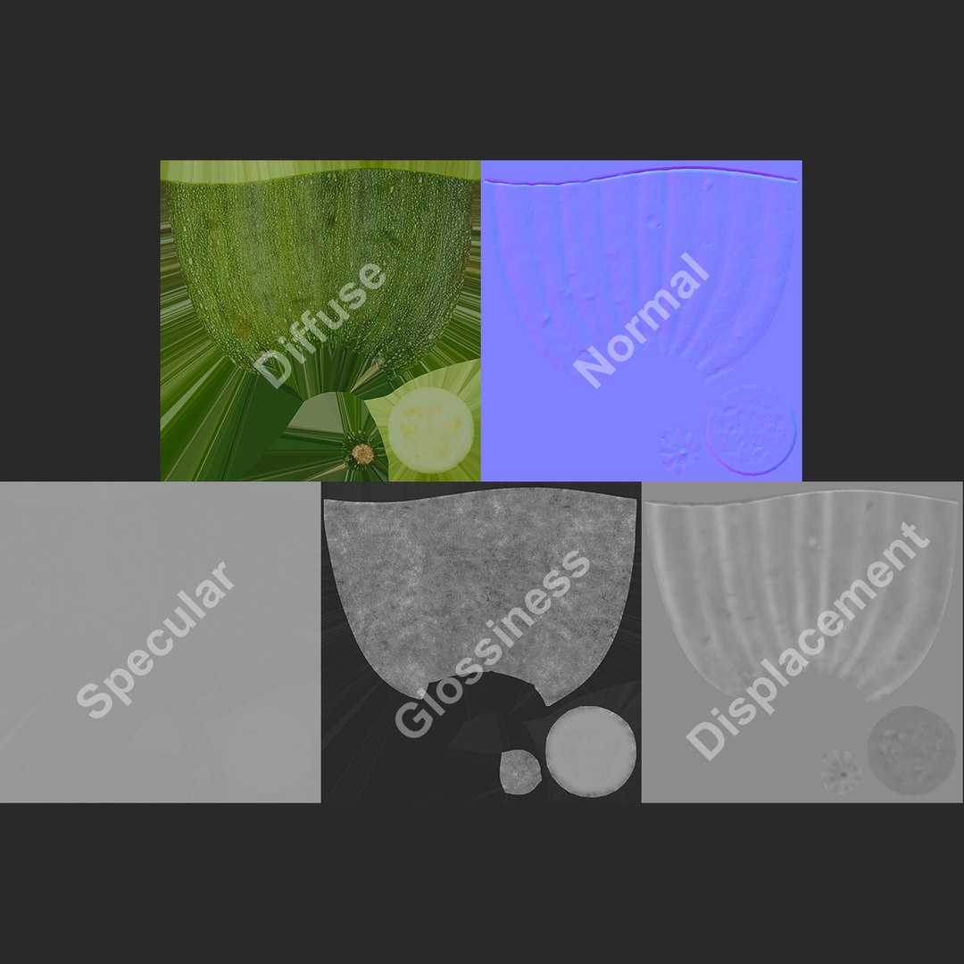 3D zucchini half https://p.turbosquid.com/ts-thumb/TA/F3lbxK/7V/lemon_rr_35/jpg/1612369077/1920x1080/fit_q87/3263eb58274697a0c11bb7c5fa07b1e33fe4322b/lemon_rr_35.jpg