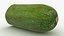Half Zucchini 01