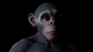 3D anatomy zbrush polypaint