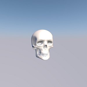 Free 3D Skull Models | TurboSquid