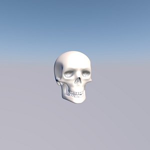 lowpoly Skeleton head