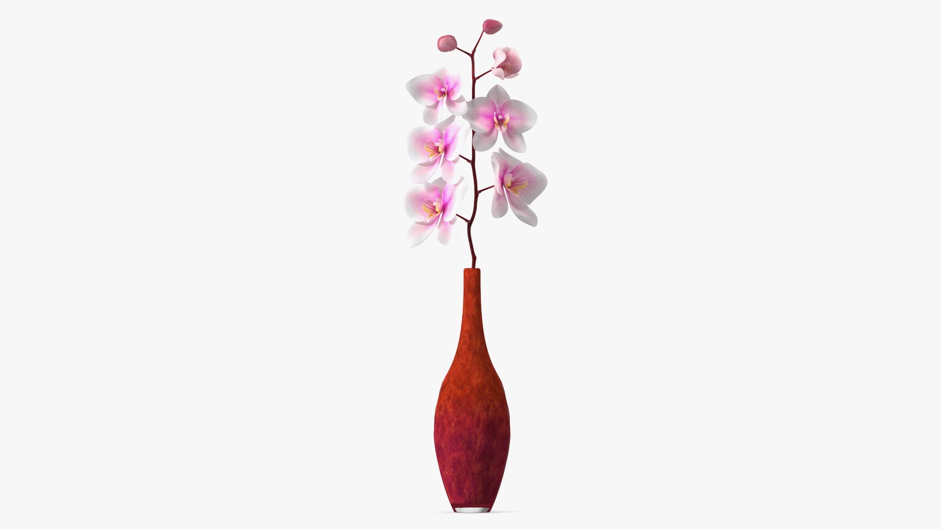 Glass Vase with Small Orchid Stem 3D model preview
