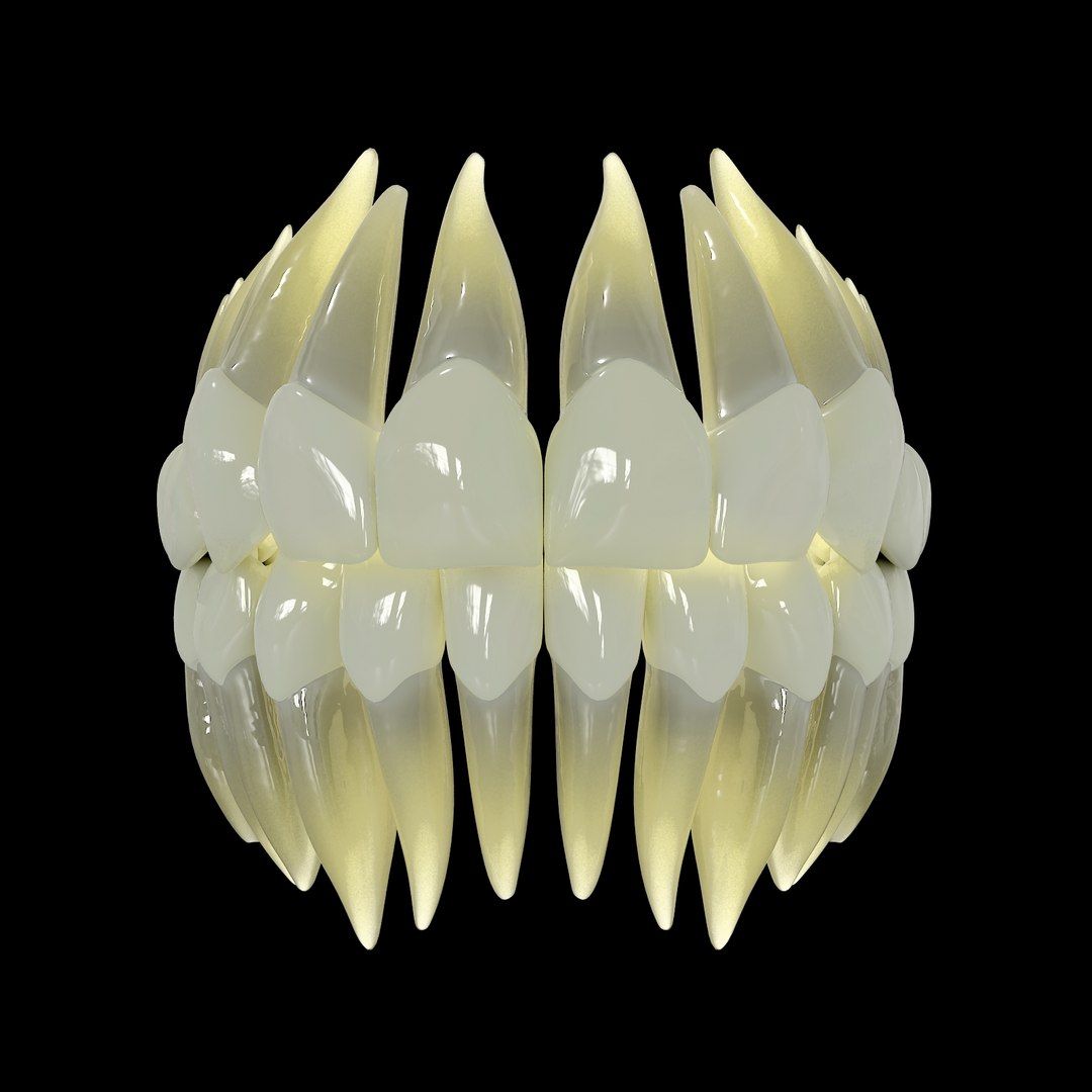 3d human teeth https://p.turbosquid.com/ts-thumb/TA/bRS2S7/ITw9ctVC/picture_06/jpg/1322157868/1920x1080/fit_q87/3920a8d477128a2862f7fbb7916d7b03772e23c0/picture_06.jpg