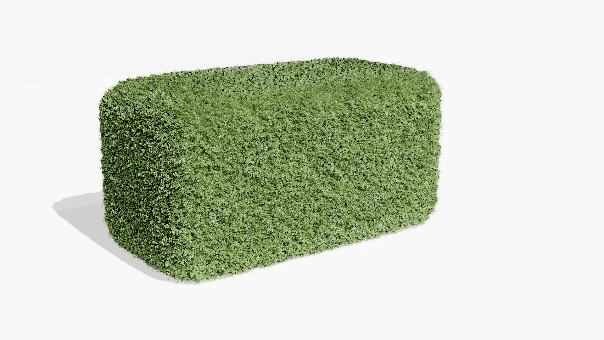 3D Buxus Hedge 01 model https://p.turbosquid.com/ts-thumb/TA/hbf24s/d4/buxus/png/1631106889/1920x1080/turn_fit_q99/904de2c68182f97fa21395a4b9b309034e2764fb/buxus-1.jpg