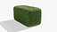 Buxus Hedge 01