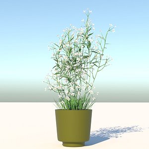 3D plant prairie