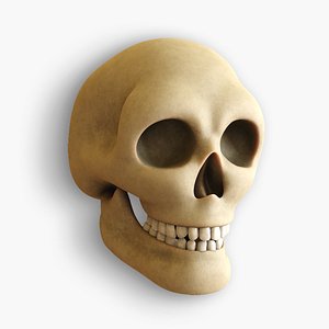 3D Stylized Skull with Realistic Teeth