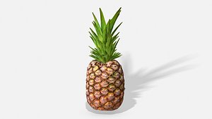 exotic fruit pineapple - 3D model