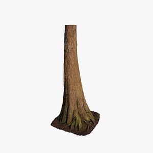 3D model Anydrafts Taxodium ascendens Trunk 02