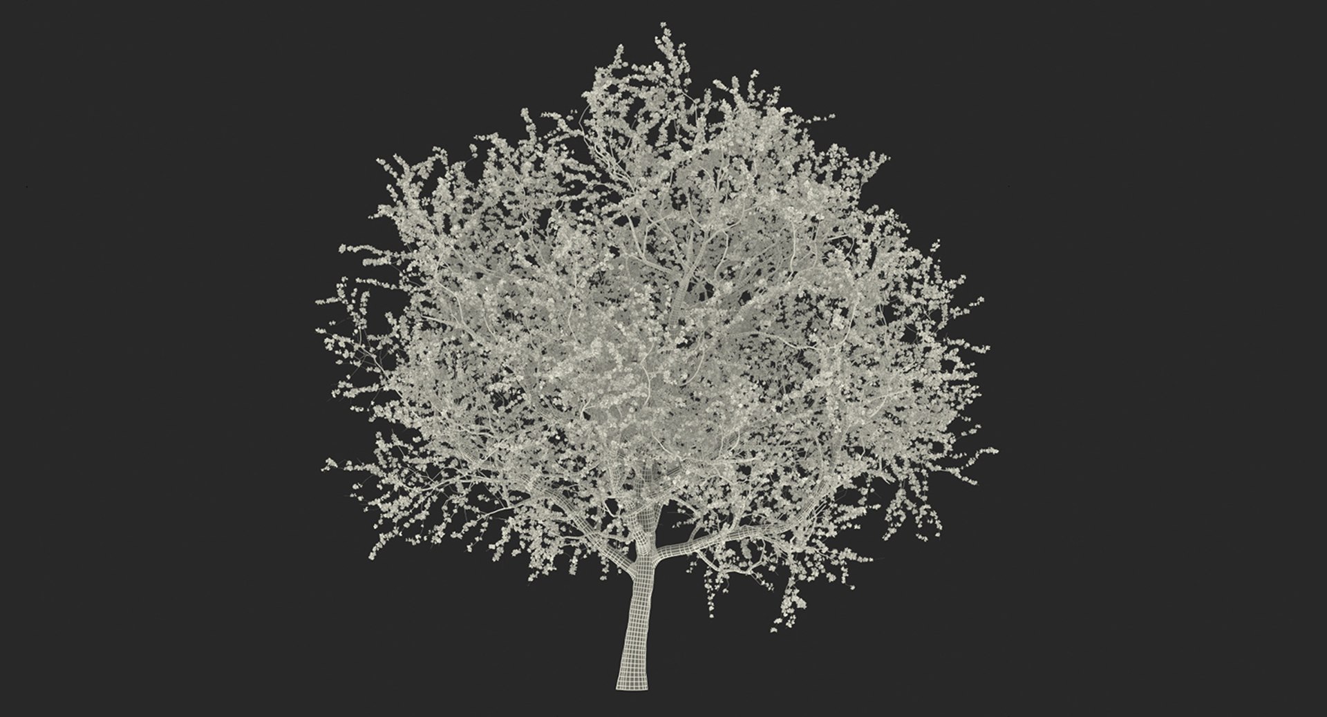 3D flowering bushes trees 4 model https://p.turbosquid.com/ts-thumb/TB/mLOmEs/0PG7HN6t/floweringbushesandtreescollection4mb3dmodel070/jpg/1582178369/1920x1080/fit_q87/63333423cf7dee01d1950930d469fb5b621cf4a8/floweringbushesandtreescollection4mb3dmodel070.jpg