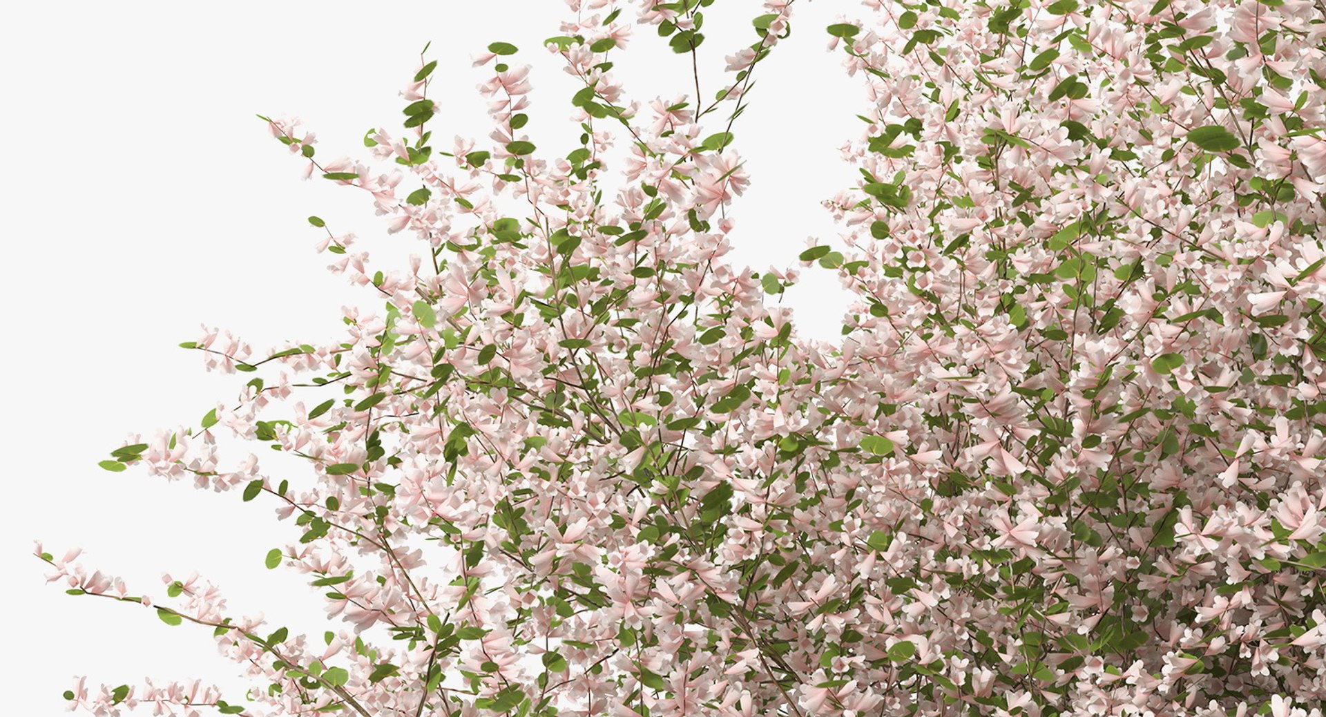 3D flowering bushes trees 4 model https://p.turbosquid.com/ts-thumb/TB/mLOmEs/0Y2NOeX4/floweringbushesandtreescollection4mb3dmodel060/jpg/1582178298/1920x1080/fit_q87/39adad492d0106af7aa55b9882558a024c2475be/floweringbushesandtreescollection4mb3dmodel060.jpg