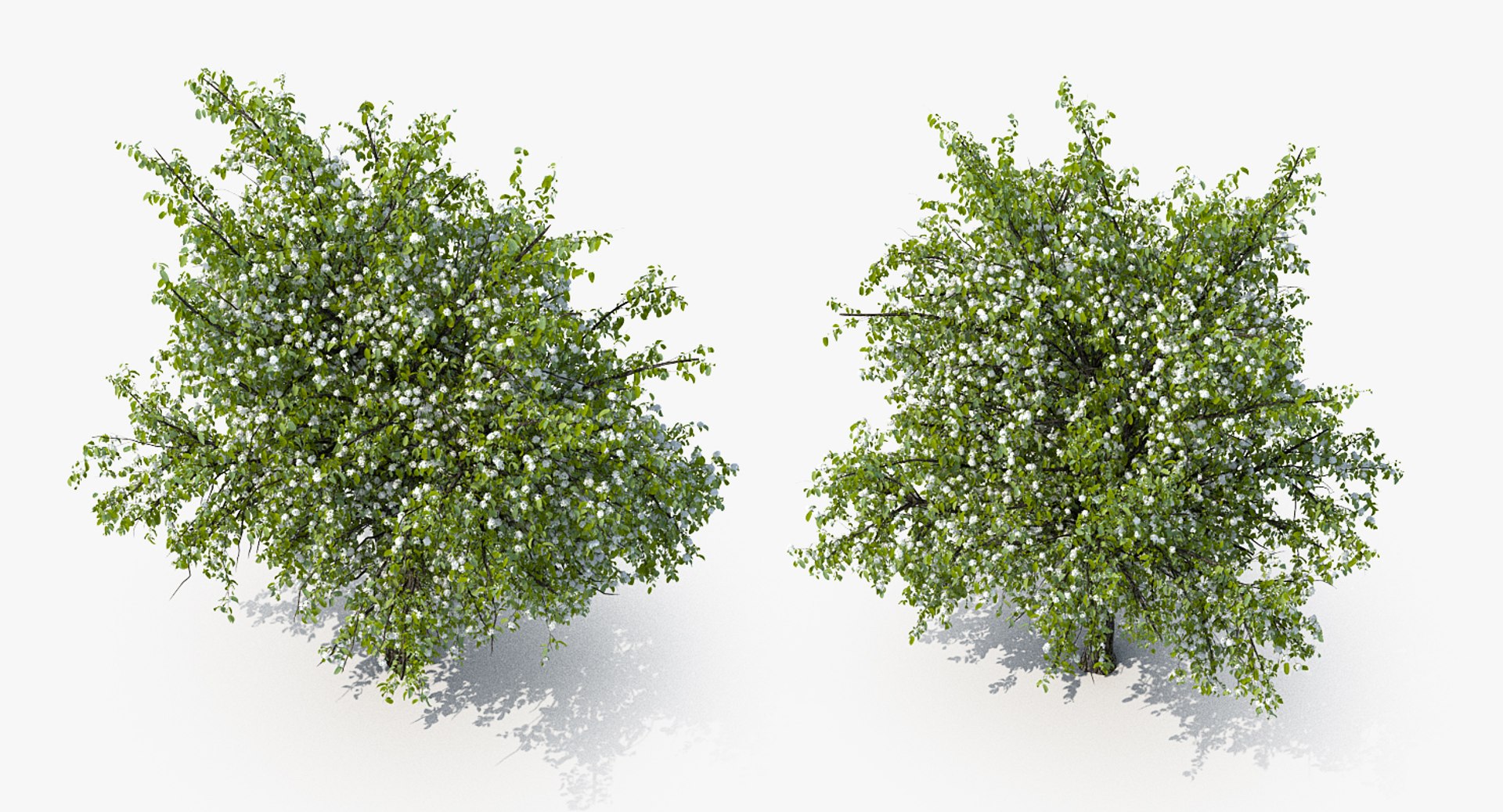 3D flowering bushes trees 4 model https://p.turbosquid.com/ts-thumb/TB/mLOmEs/0mXbWeVm/floweringbushesandtreescollection4mb3dmodel027/jpg/1582178062/1920x1080/fit_q87/3d0db81267bae6ea3a2164fe0ebb5f3a82b9d90f/floweringbushesandtreescollection4mb3dmodel027.jpg
