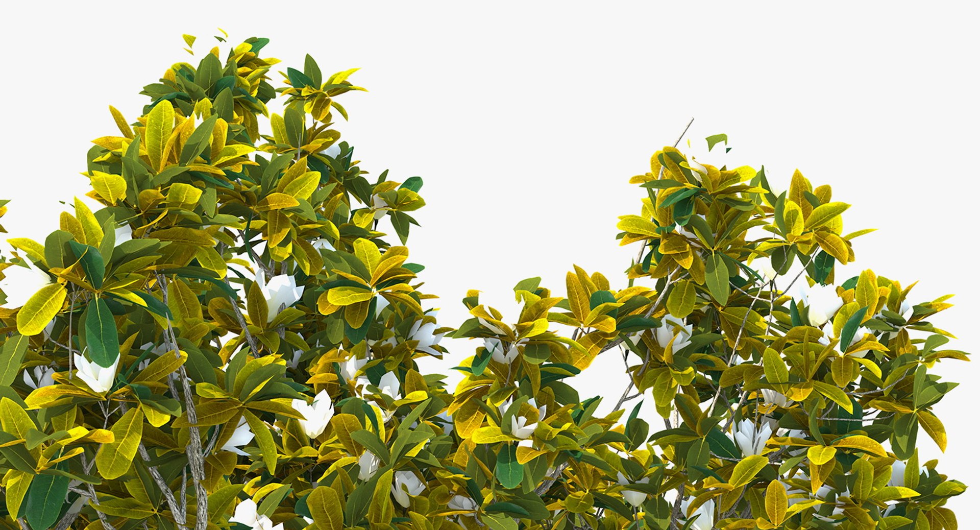 3D flowering bushes trees 4 model https://p.turbosquid.com/ts-thumb/TB/mLOmEs/7wCnpoF5/floweringbushesandtreescollection4mb3dmodel044/jpg/1582178181/1920x1080/fit_q87/ed506efec4c831d4cf4b3c6a749f08a2de4f32e7/floweringbushesandtreescollection4mb3dmodel044.jpg