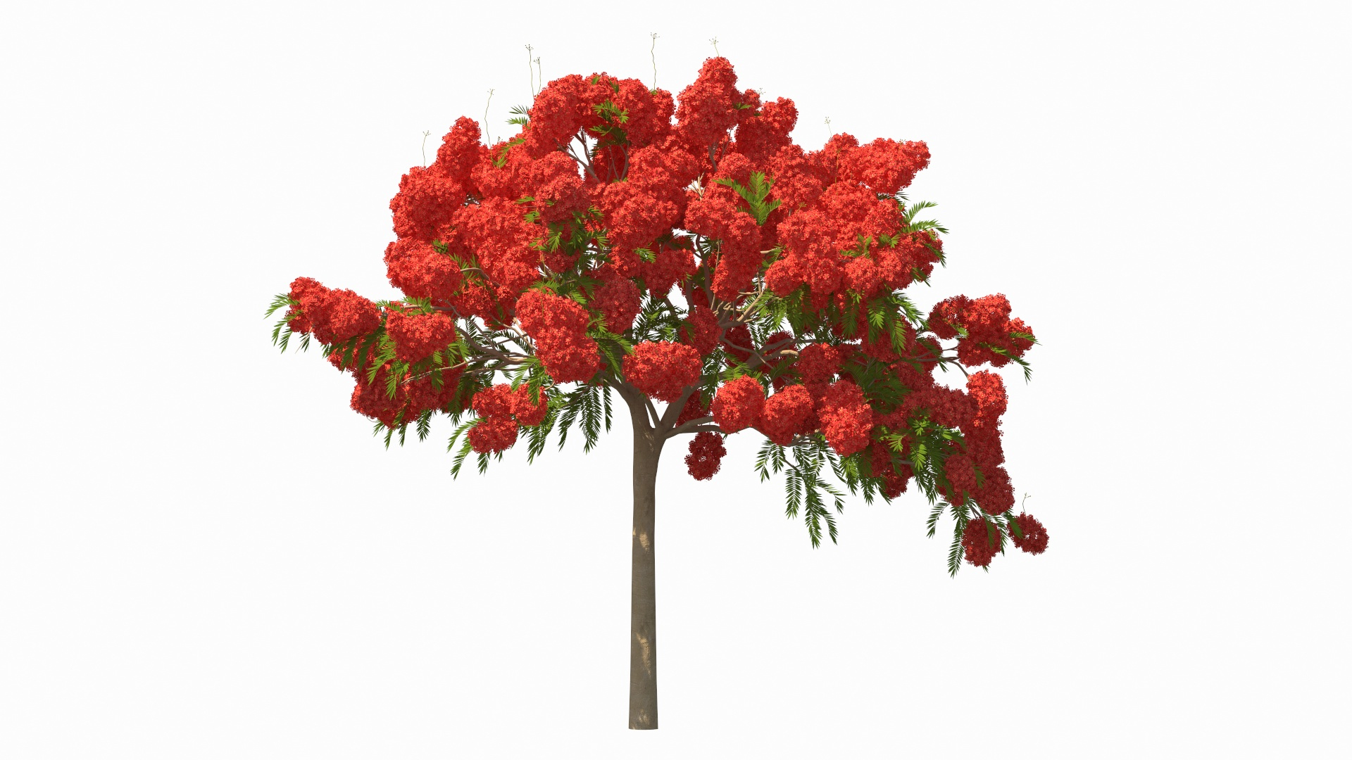 3D flowering bushes trees 4 model https://p.turbosquid.com/ts-thumb/TB/mLOmEs/E80Djb1S/flowering_bushes_and_trees_collection_4_360/jpg/1582170447/1920x1080/turn_fit_q99/e9c208293a6fc9d8c3744d14b6501c8fe3c8cc6f/flowering_bushes_and_trees_collection_4_360-1.jpg