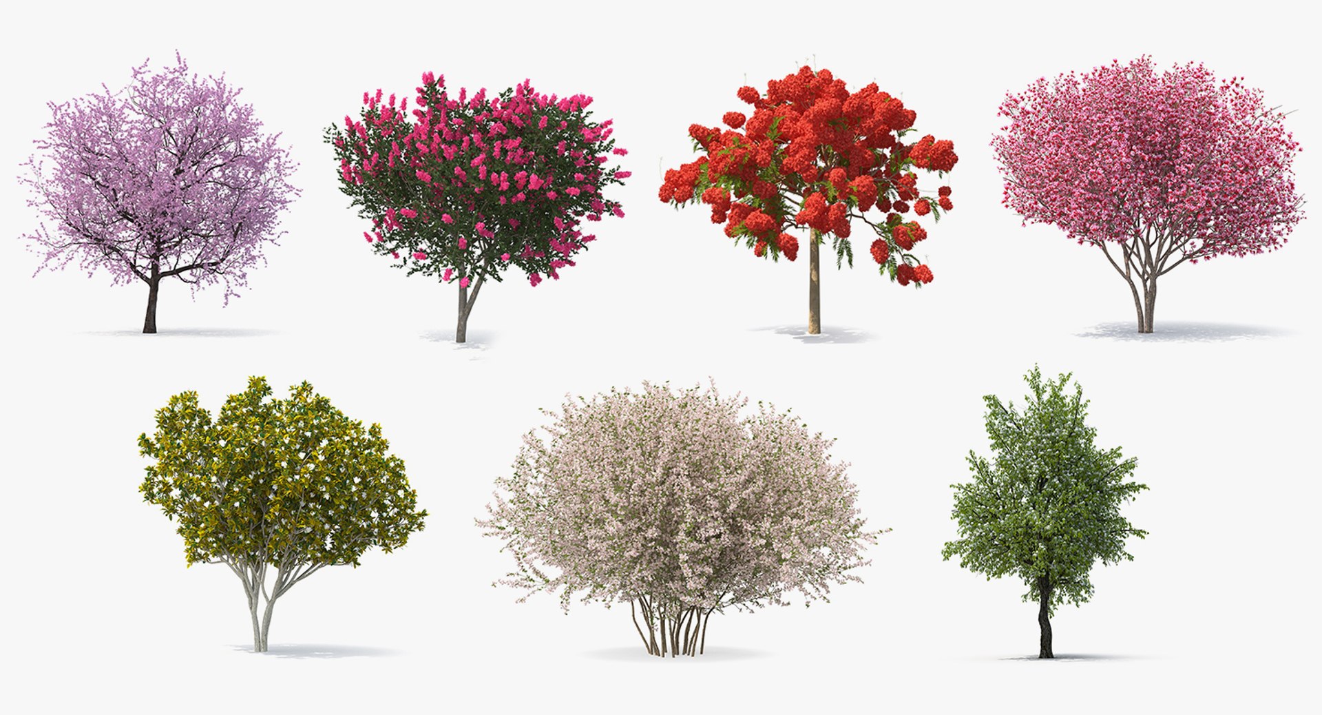 3D flowering bushes trees 4 model https://p.turbosquid.com/ts-thumb/TB/mLOmEs/ORqZ4Wum/floweringbushesandtreescollection4mb3dmodel002/jpg/1582177874/1920x1080/fit_q87/c4a9cd42402180442663106960769cd8fcb670ab/floweringbushesandtreescollection4mb3dmodel002.jpg