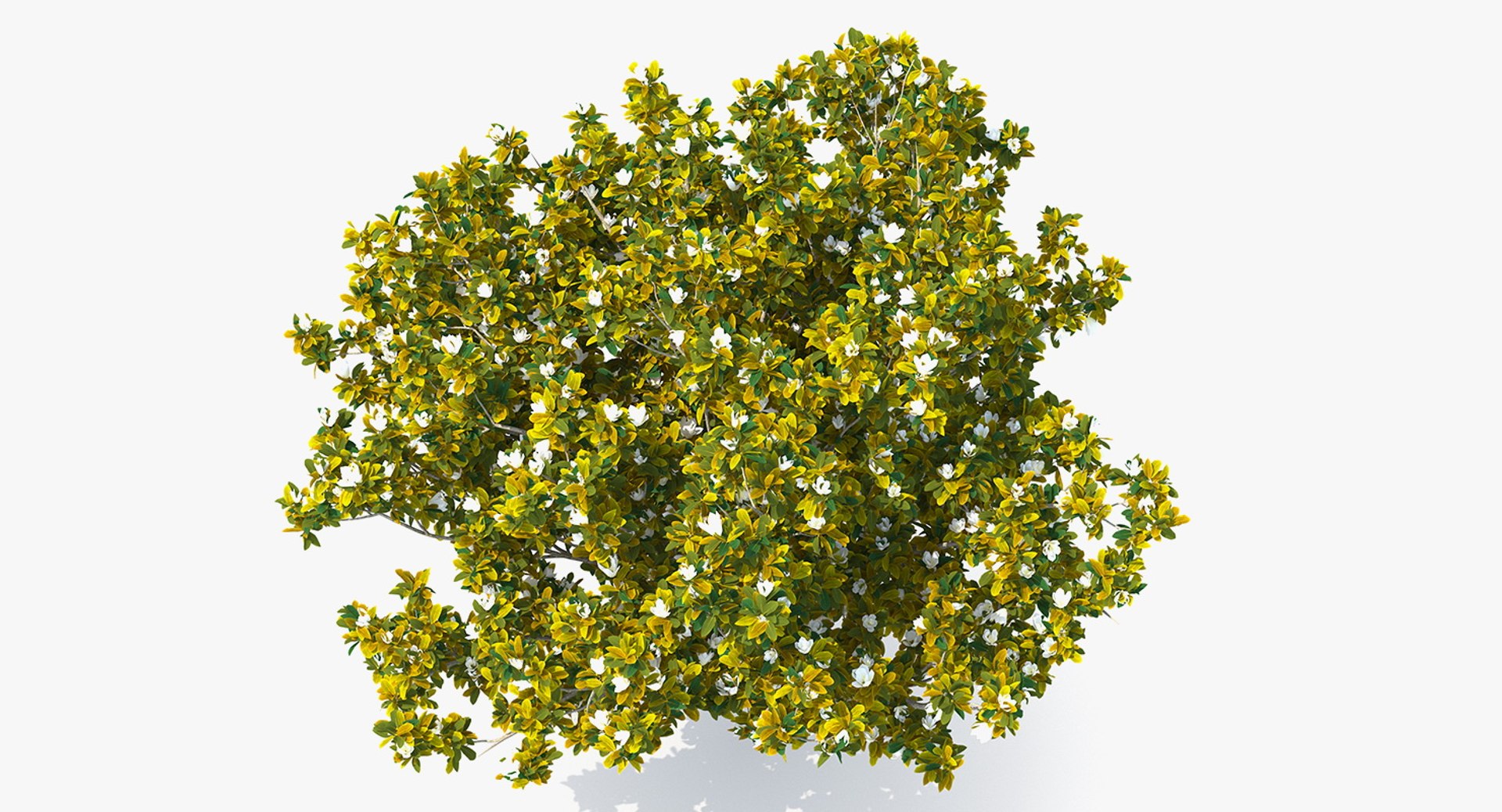 3D flowering bushes trees 4 model https://p.turbosquid.com/ts-thumb/TB/mLOmEs/TgNtXTKf/floweringbushesandtreescollection4mb3dmodel038/jpg/1582178139/1920x1080/fit_q87/2f6b5ce8a56d43be12fabafb8a636f3be35734f1/floweringbushesandtreescollection4mb3dmodel038.jpg