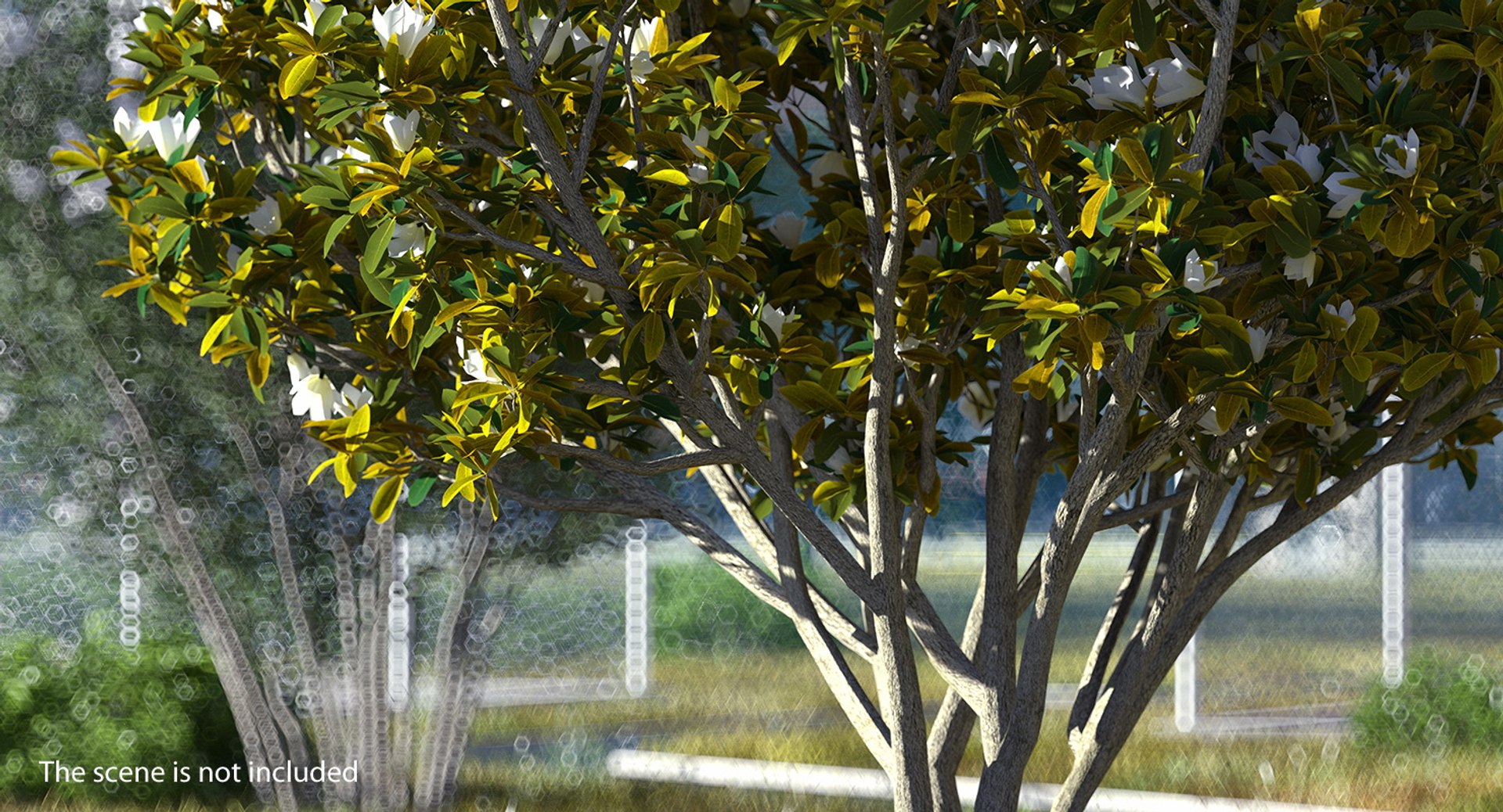 3D flowering bushes trees 4 model https://p.turbosquid.com/ts-thumb/TB/mLOmEs/V5IOIv2d/floweringbushesandtreescollection4mb3dmodel034/jpg/1582178111/1920x1080/fit_q87/2bb52800fa2850f0252e1ac95ec7c630c7cee9d1/floweringbushesandtreescollection4mb3dmodel034.jpg