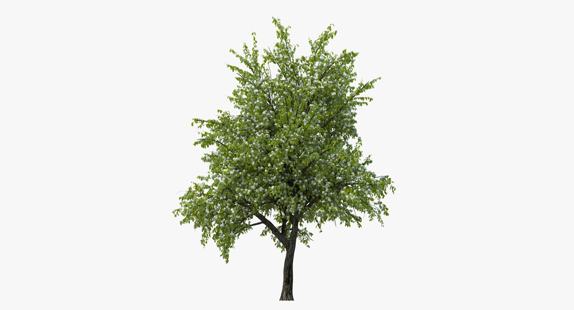 3D flowering bushes trees 4 model https://p.turbosquid.com/ts-thumb/TB/mLOmEs/VFdEkb4z/flowering_bushes_and_trees_collection_4_364/jpg/1582174862/1920x1080/turn_fit_q99/04ffe49012f7ec4614bd086a121919719c29b8ed/flowering_bushes_and_trees_collection_4_364-1.jpg