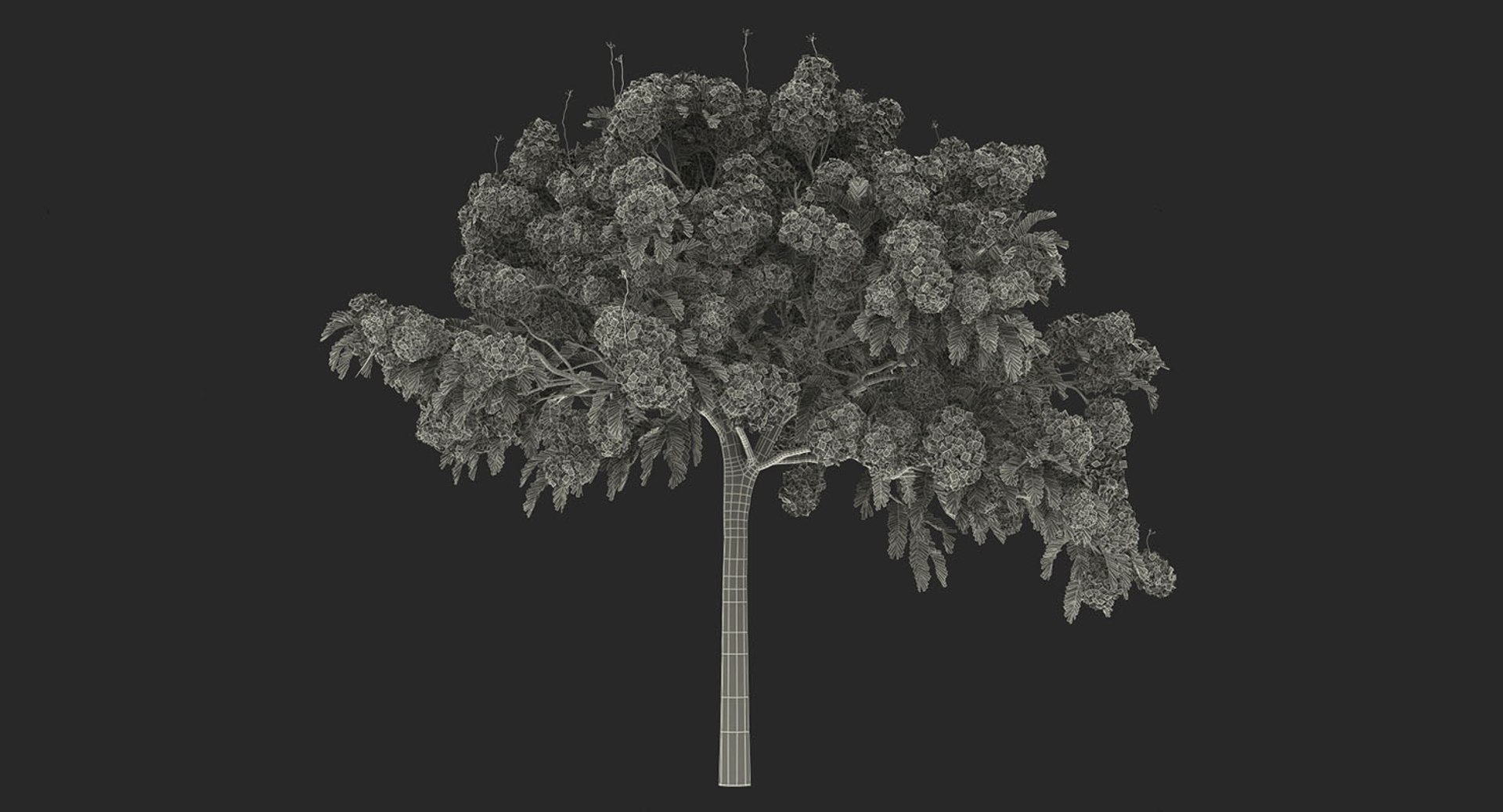 3D flowering bushes trees 4 model https://p.turbosquid.com/ts-thumb/TB/mLOmEs/WOHAHcE1/floweringbushesandtreescollection4mb3dmodel069/jpg/1582178362/1920x1080/fit_q87/ba1c9a2cb1b160b7aabe47f5b9213de9cf43250e/floweringbushesandtreescollection4mb3dmodel069.jpg