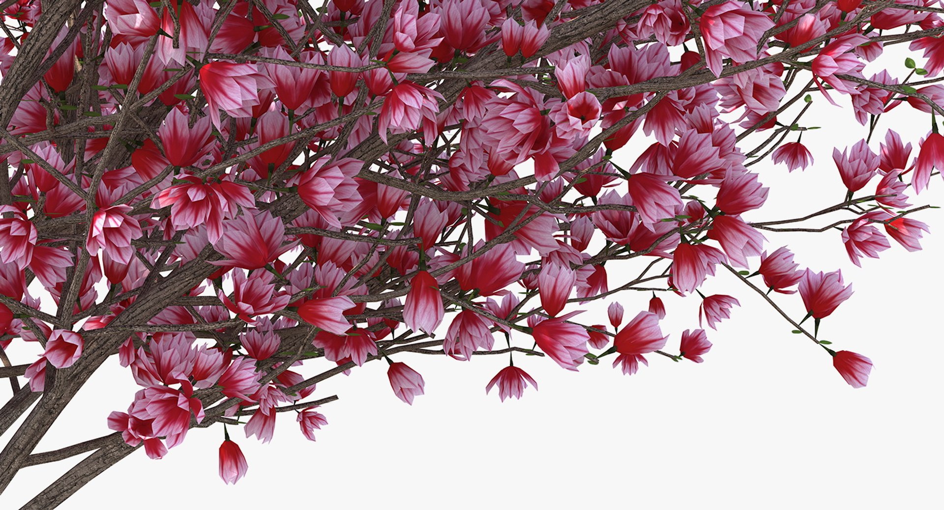 3D flowering bushes trees 4 model https://p.turbosquid.com/ts-thumb/TB/mLOmEs/WmPTibzn/floweringbushesandtreescollection4mb3dmodel054/jpg/1582178254/1920x1080/fit_q87/2f0c2e4bd8c328df7b2f932489d71d09a4ce4cf6/floweringbushesandtreescollection4mb3dmodel054.jpg