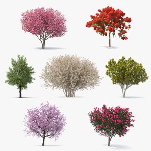 3D flowering bushes trees 4 model