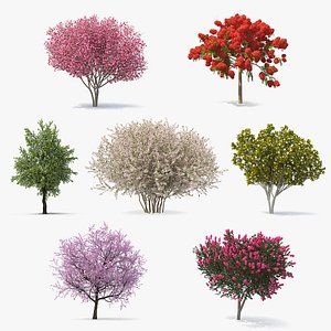 Flowering Bushes and Trees Collection 4