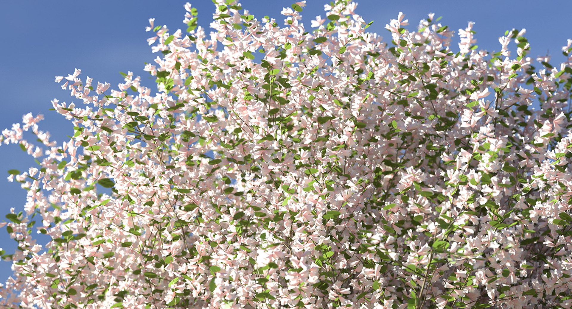 3D flowering bushes trees 4 model https://p.turbosquid.com/ts-thumb/TB/mLOmEs/ZN1TUkKa/floweringbushesandtreescollection4mb3dmodel057/jpg/1582178276/1920x1080/fit_q87/2f60457dbfbe78cb15d5c1500499f5efa98cd111/floweringbushesandtreescollection4mb3dmodel057.jpg