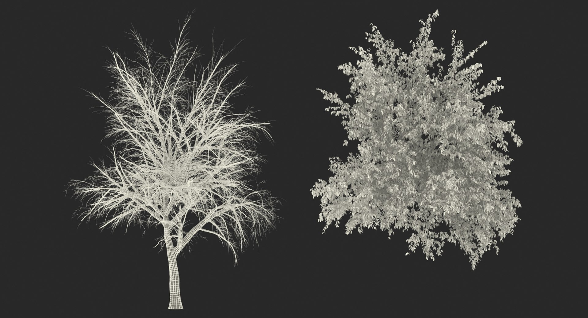 3D flowering bushes trees 4 model https://p.turbosquid.com/ts-thumb/TB/mLOmEs/dciUocNc/floweringbushesandtreescollection4mb3dmodel071/jpg/1582178376/1920x1080/fit_q87/13d8e8eee32a9c0f391a5211b1fe698b6a64ae7e/floweringbushesandtreescollection4mb3dmodel071.jpg
