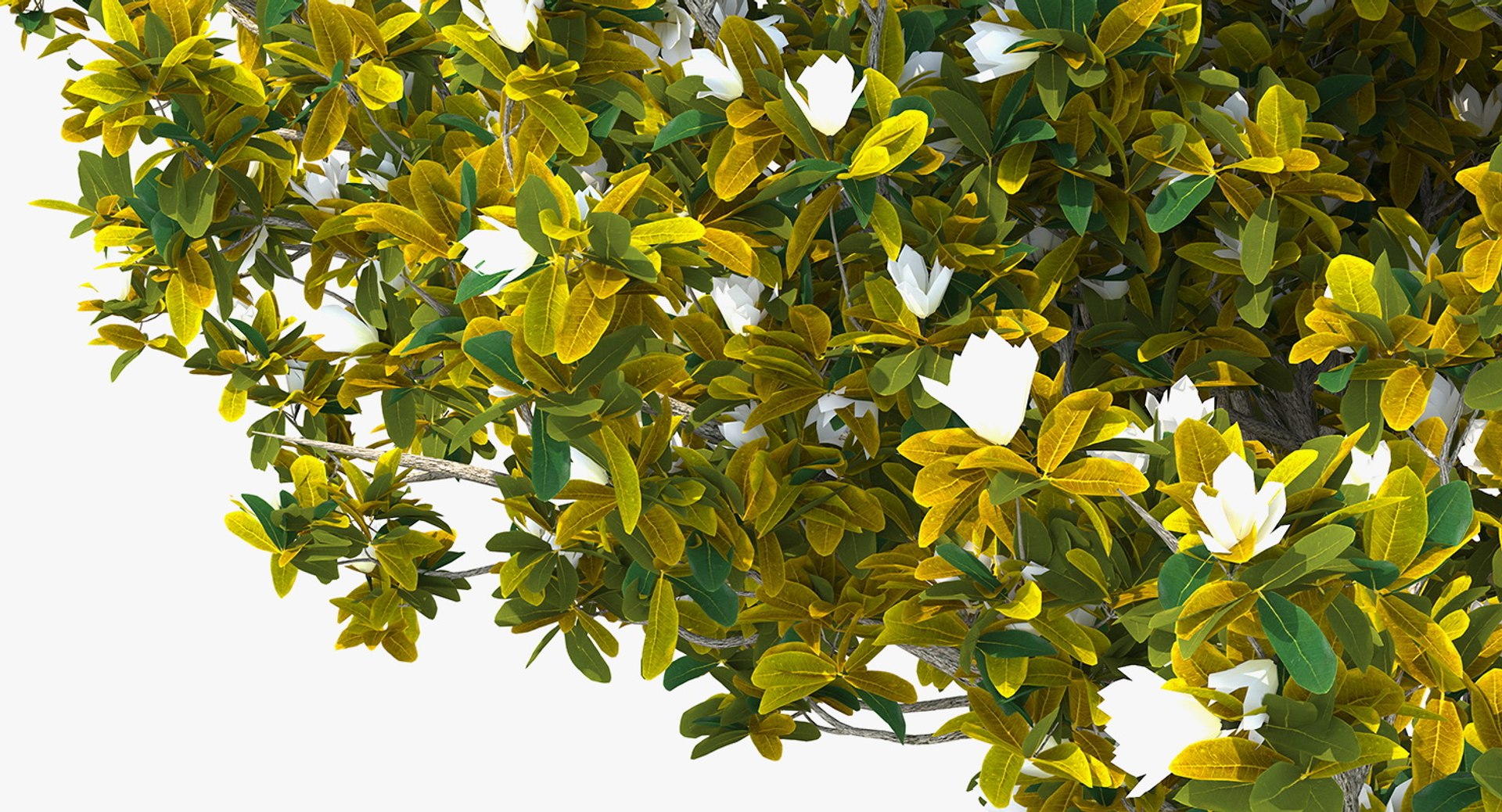 3D flowering bushes trees 4 model https://p.turbosquid.com/ts-thumb/TB/mLOmEs/fnyPdYsD/floweringbushesandtreescollection4mb3dmodel042/jpg/1582178167/1920x1080/fit_q87/67ef49696f8839c7922619177d40e672c40d40f0/floweringbushesandtreescollection4mb3dmodel042.jpg