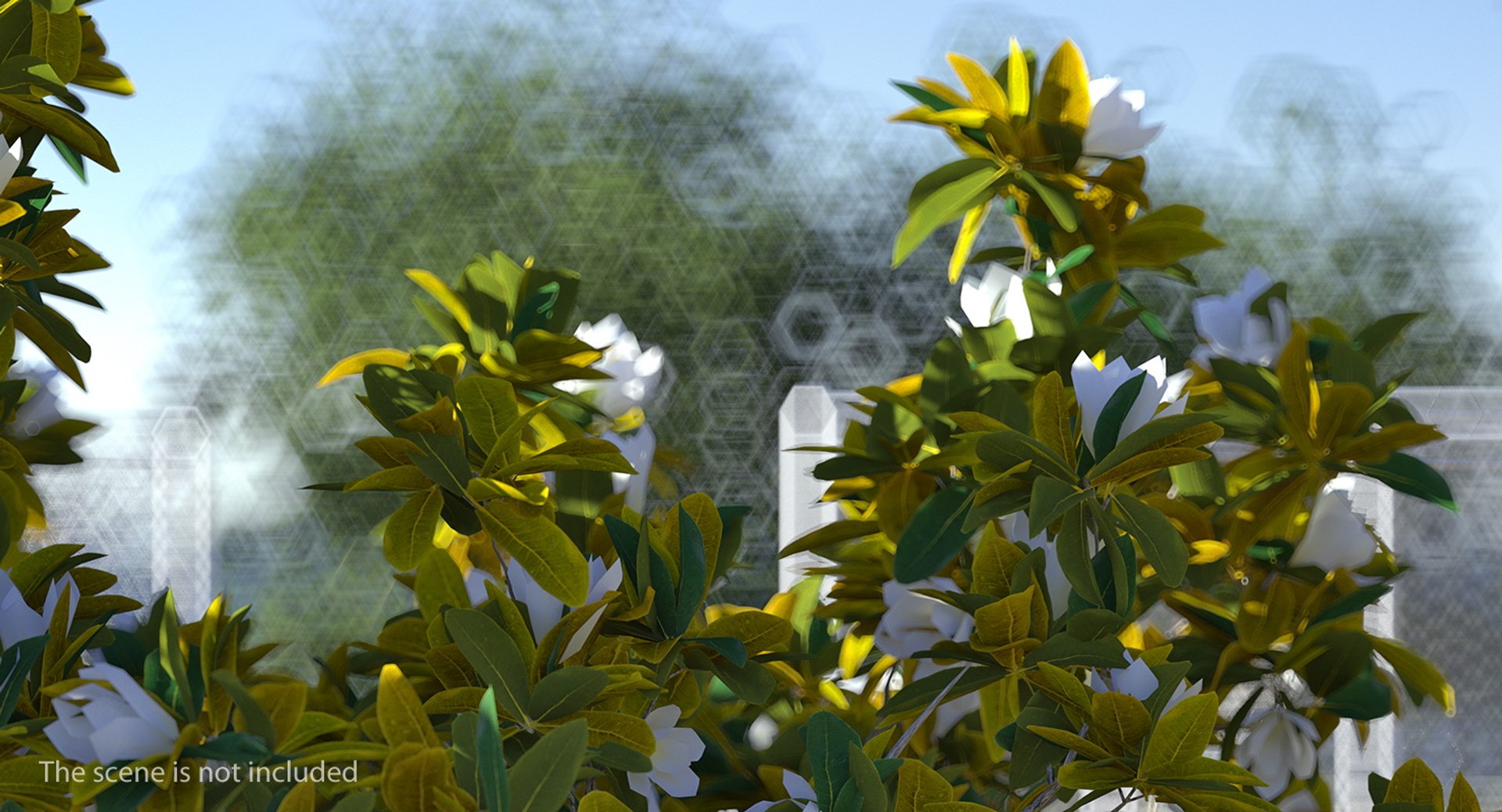 3D flowering bushes trees 4 model https://p.turbosquid.com/ts-thumb/TB/mLOmEs/fxT5eX1U/floweringbushesandtreescollection4mb3dmodel036/jpg/1582178125/1920x1080/fit_q87/db98b1f24cae217a3c88206b11e59d3eb8e525a6/floweringbushesandtreescollection4mb3dmodel036.jpg