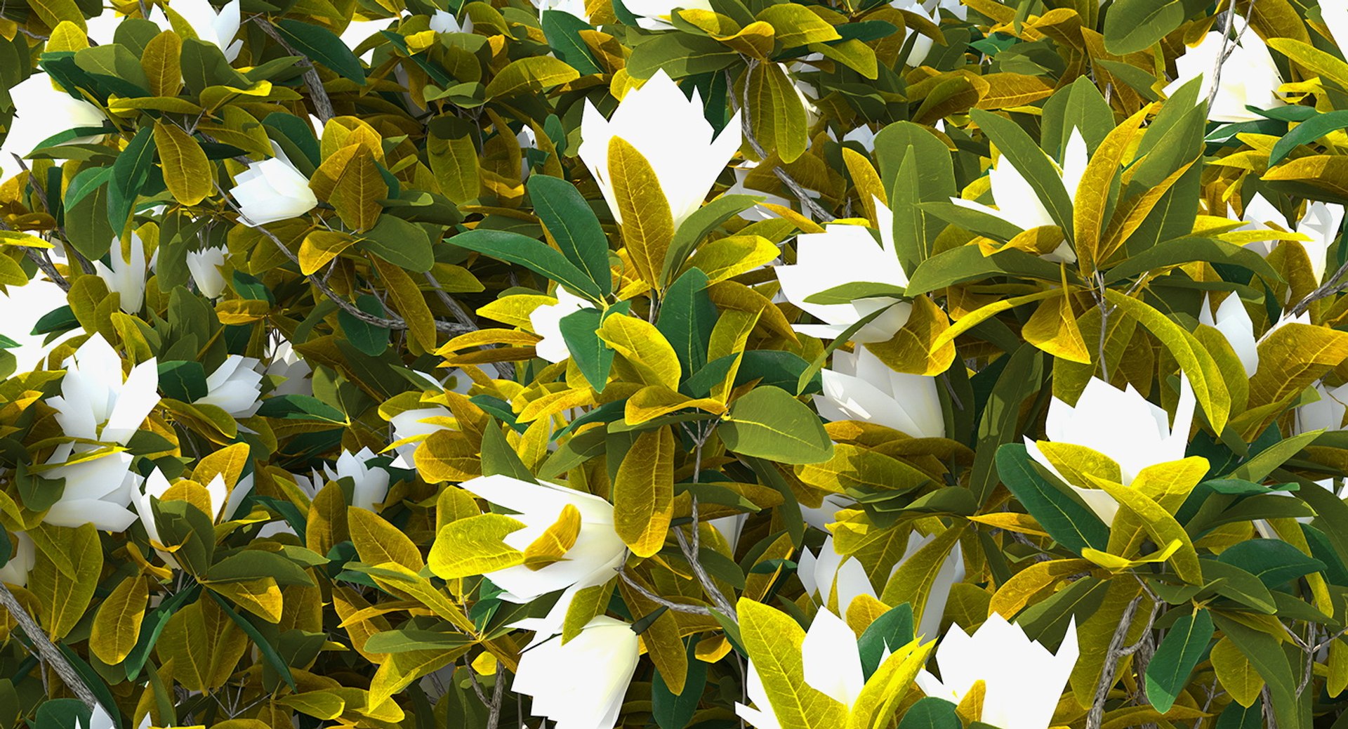 3D flowering bushes trees 4 model https://p.turbosquid.com/ts-thumb/TB/mLOmEs/qNkyZmTv/floweringbushesandtreescollection4mb3dmodel043/jpg/1582178174/1920x1080/fit_q87/3d3b8a6776b2764c7fd9f410ae44dc959cea157c/floweringbushesandtreescollection4mb3dmodel043.jpg