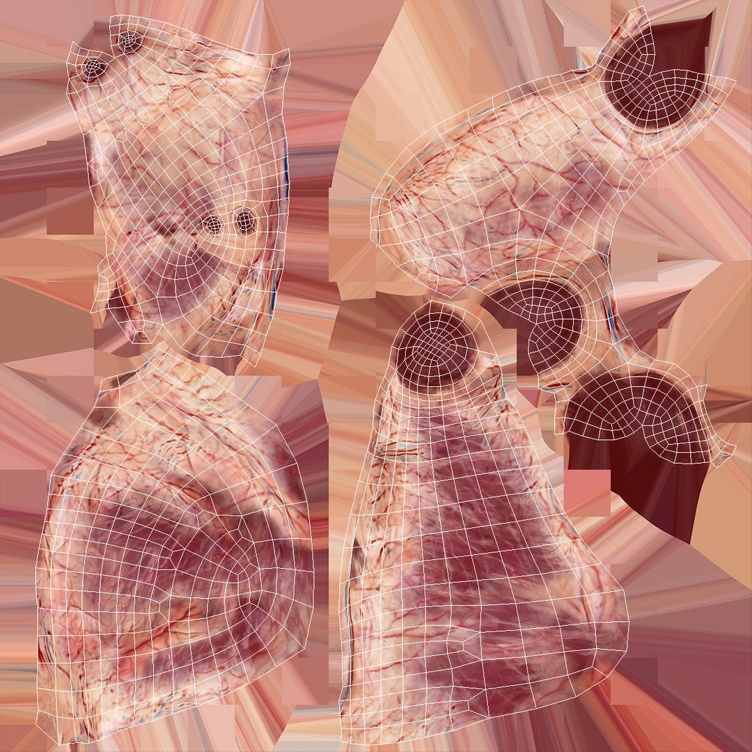 human cardiovascular vascular body model https://p.turbosquid.com/ts-thumb/TB/mruuYU/mzFffLQq/humancardiovascularsystemfullbodymb3dmodel029/jpg/1572013899/1920x1080/fit_q87/c6d0cb326388830e3034f3d5a0d951719faf5911/humancardiovascularsystemfullbodymb3dmodel029.jpg